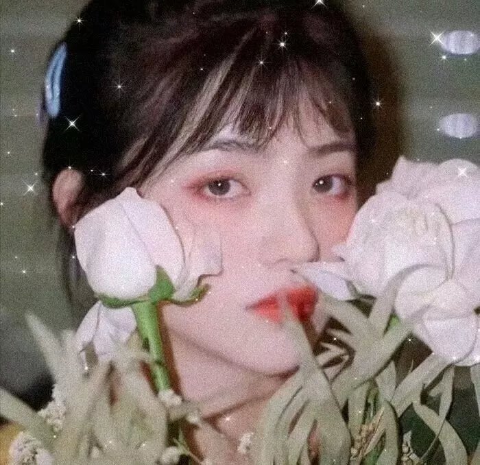 英雄泪